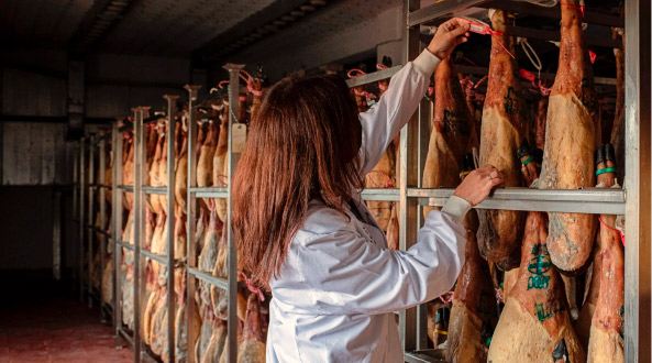 La maestría de hacer buenos jamones en la cuna del ibérico